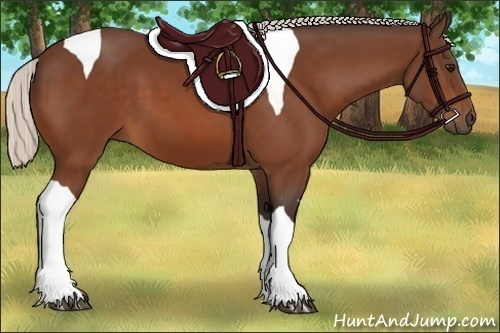 Horse Color:Silver Bay Tobiano 