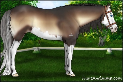 Horse Color:Liver Red Onyx Sabino Splash