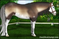 Horse Color:Liver Red Onyx Sabino Splash