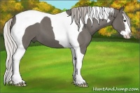 Horse Color:Silver Blue Roan Splash Tobiano 