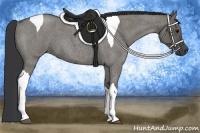 Horse Color:Grullo Roan Tobiano