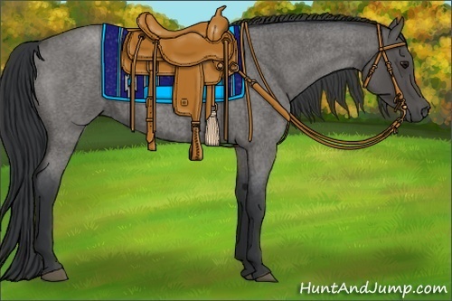 Horse Color:Blue Roan 