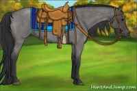 Horse Color:Blue Roan 