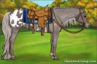 Horse Color:Silver Blue Roan Appaloosa Rabicano