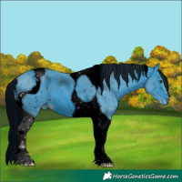 Horse Color:ERROR: UNKNOWN ANOMALY