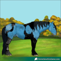 Horse Color:ERROR: UNKNOWN ANOMALY