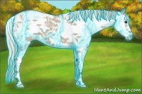 Horse Color:ERROR: UNKNOWN ANOMALY