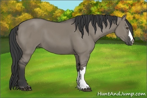 Horse Color:Smoky Grullo