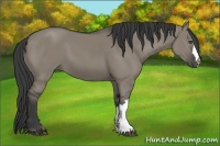 Horse Color:Smoky Grullo 