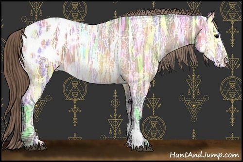 Horse Color:Buckskin Ice Appaloosa 