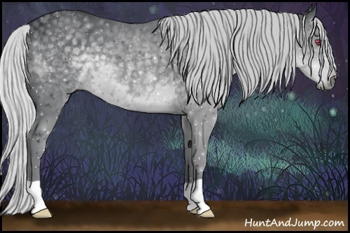 Horse Color:Silver Black Chinchilla 