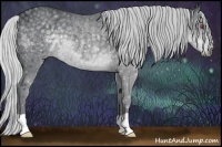 Horse Color:Silver Black Chinchilla 