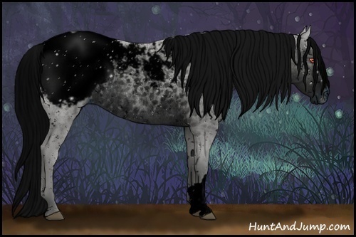 Horse Color:ERROR: UNKNOWN ANOMALY