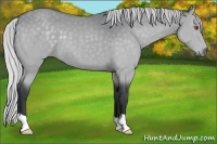 Horse Color:Silver Black Chinchilla