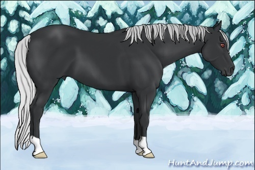 Horse Color:Silver Black Chinchilla