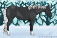 Horse Color:Silver Black Chinchilla 