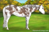 Horse Color:White Spotted Silver Brown Ice Splash 