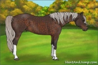 Horse Color:Silver Brown 