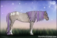 Horse Color:Painted Silver Black Ice 