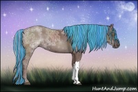 Horse Color:Painted Chocolate Silver Black Ice 