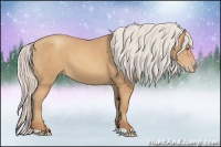 Horse Color:Silver Amber Champagne