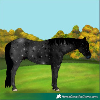 Horse Color:ERROR: UNKNOWN ANOMALY