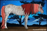 Horse Color:Painted Buckskin Ice Onyx  and Painted Perlino Ice Onyx 