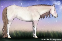 Horse Color:Watercolor Buckskin Ice Pearl Onyx 