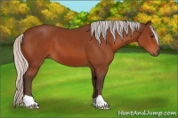 Horse Color:Silver Bay