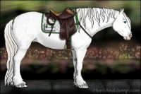 Horse Color:Chocolate Palomino Sabino Splash Appaloosa Rabicano