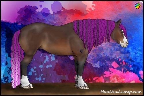 Horse Color:Painted Bay Sabino Splash