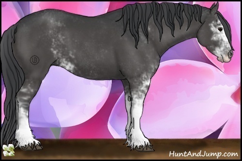 Horse Color:Black Sabino 