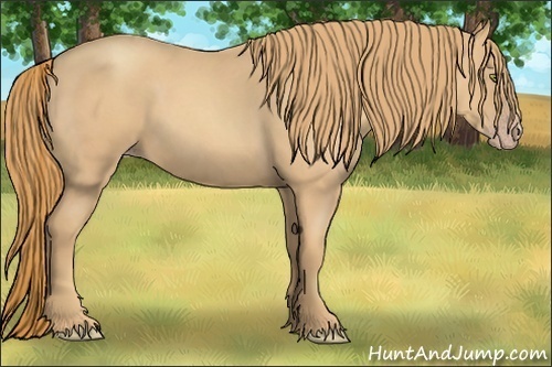 Horse Color:Gold Champagne Roan