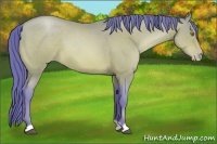 Horse Color:Watercolor Bay Pearl