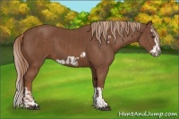 Horse Color:Chestnut Splash Frame  and Chestnut Splash Frame 