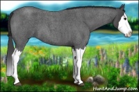 Horse Color:Smoky Blue Roan Splash