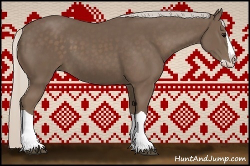 Horse Color:Silver Black Splash 