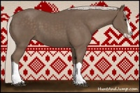 Horse Color:Silver Black Splash 