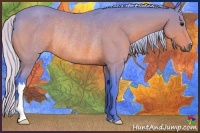 Horse Color:Watercolor Silver Brown Rabicano 