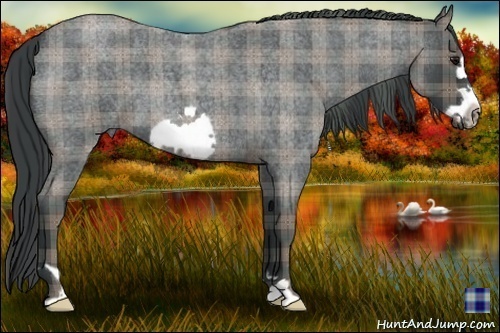 Horse Color:Plaid  Smoky Blue Roan Frame 