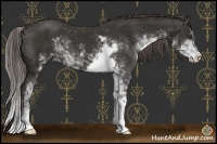 Horse Color:Liver Chestnut Sabino