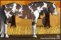 Horse Color:White Spotted Buckskin Sabino Splash 