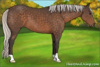 Horse Color:Silver Brown 