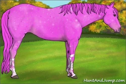 Horse Color:Watercolor Liver Chestnut