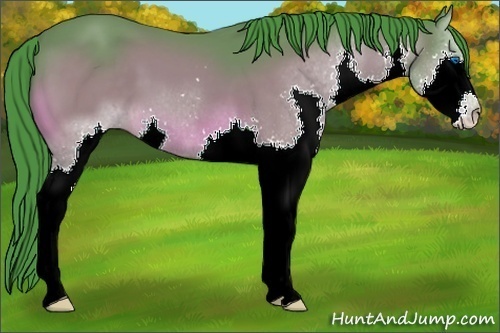 Horse Color:Watercolor Bay Splash 