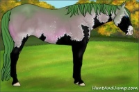 Horse Color:Watercolor Bay Splash