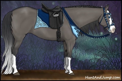 Horse Color:Grullo Sabino Splash 