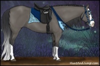 Horse Color:Grullo Sabino Splash