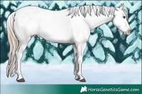 Horse Color:Liver Chestnut Ice Sabino Frame Varnish 