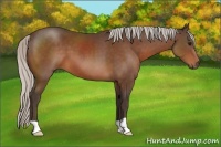 Horse Color:Silver Brown 